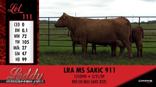 Lot #111 - LRA MS SAKIC 911