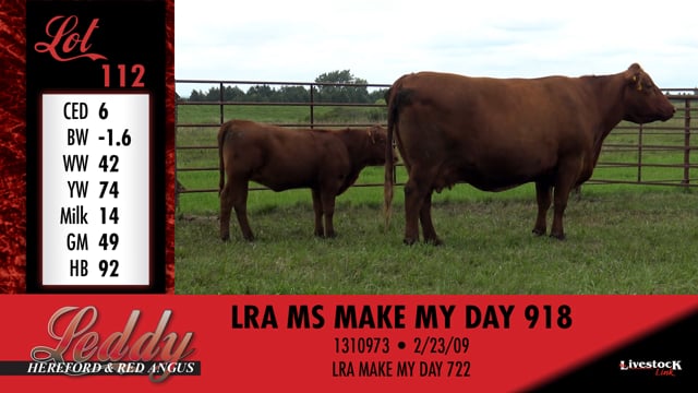 Lot #112 - LRA MS MAKE MY DAY 918