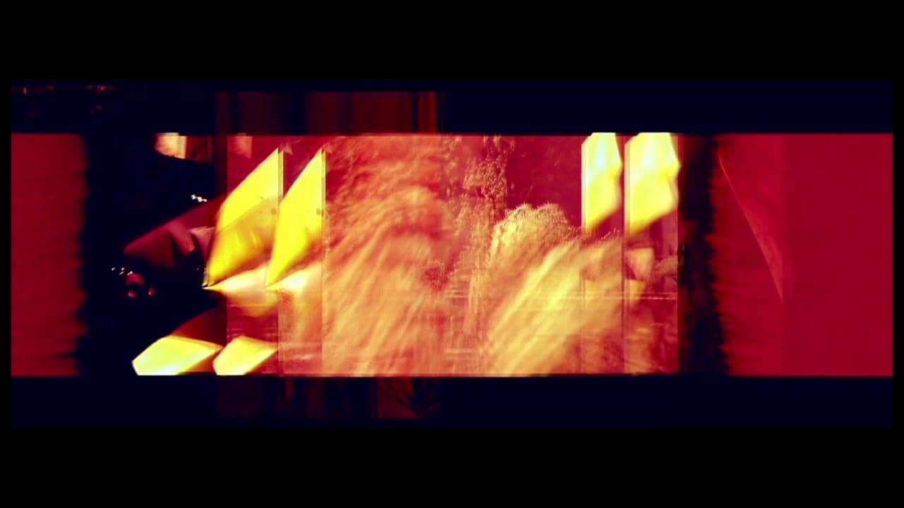 MEAT OIL JOY PAINT (a tribute to Carolee Schneemann) Christina McPhee