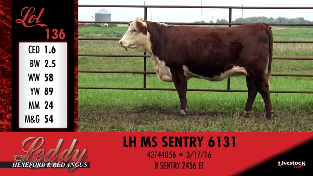 Lot #136 - LH MS SENTRY 6131