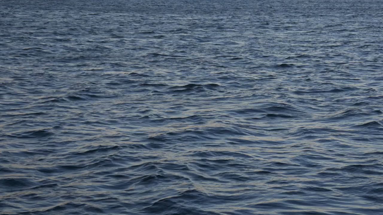 water on Vimeo