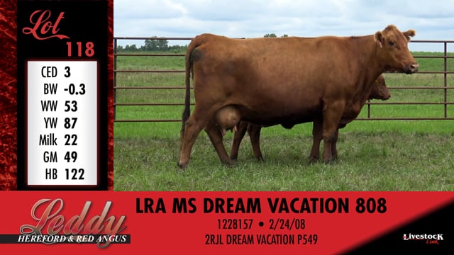 Lot #118 - LRA MS DREAM VACATION 808