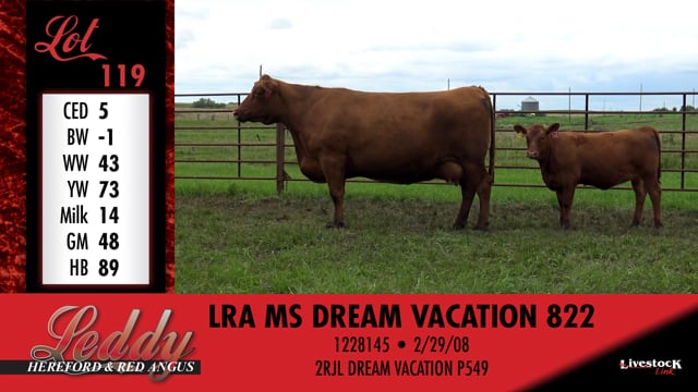 Lot #119 - LRA MS DREAM VACATION 822