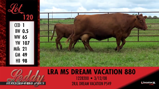 Lot #120 - LRA MS DREAM VACATION 880