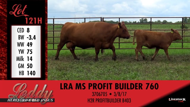 Lot #121 - LRA MS MONU 884