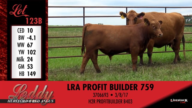 Lot #123 - RHRA CHRIS LC 117 541R