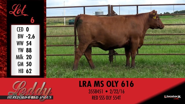 Lot #6 - LRA MS OLY 616
