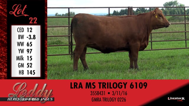 Lot #22 - LRA MS TRILOGY 6109