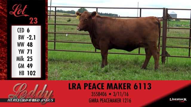 Lot #23 - LRA PEACE MAKER 6113