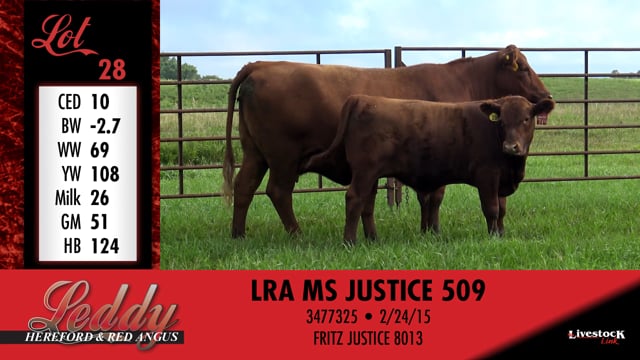 Lot #28 - LRA MS JUSTICE 509