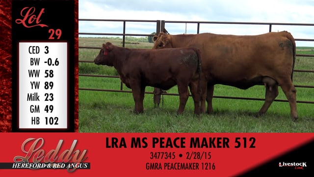 Lot #29 - LRA MS PEACE MAKER 512