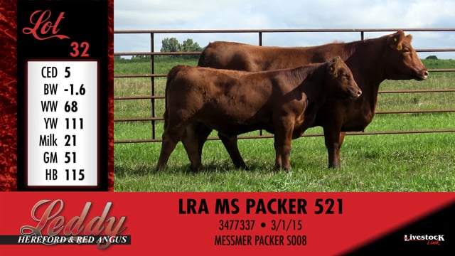 Lot #32 - LRA MS PACKER 521