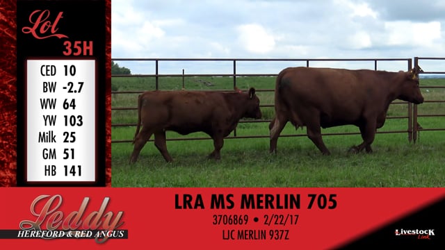 Lot #35 - LRA MS JUSTICE 526
