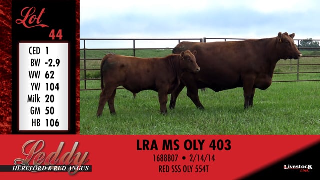 Lot #44 - LRA MS OLY 403