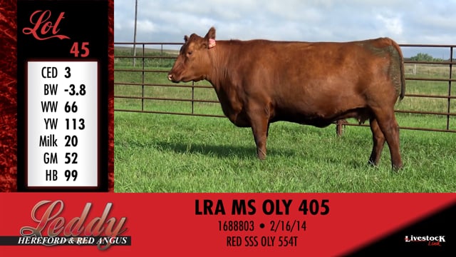 Lot #45 - LRA MS OLY 405