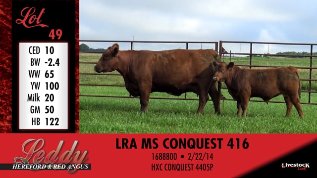 Lot #49 - LRA MS CONQUEST 416