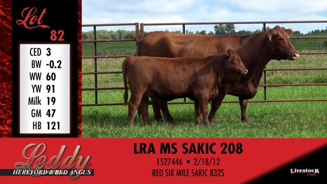 Lot #82 - LRA MS SAKIC 208