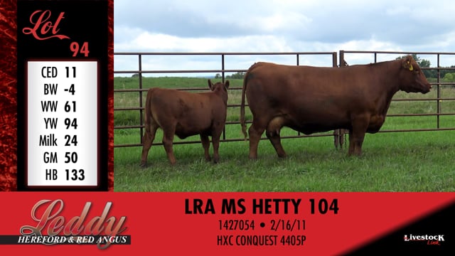 Lot #94 - LRA MS HETTY 104