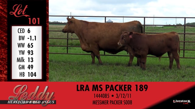 Lot #101 - LRA MS PACKER 189
