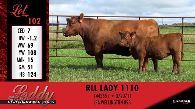 Lot #102 - RLL LADY 1110