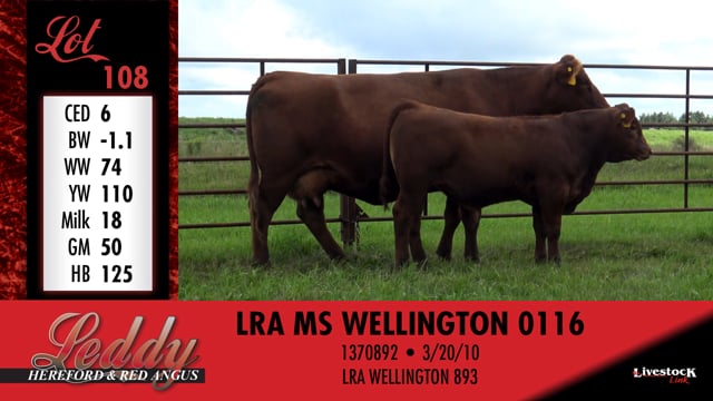 Lot #108 - LRA MS WELLINGTON 0116
