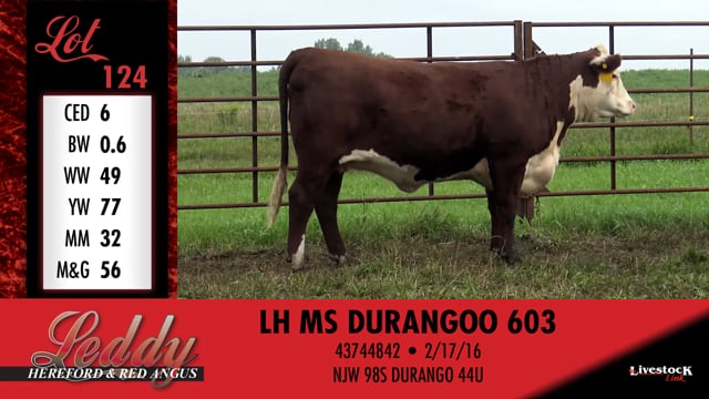 Lot #124 - LH MS DURANGO 603