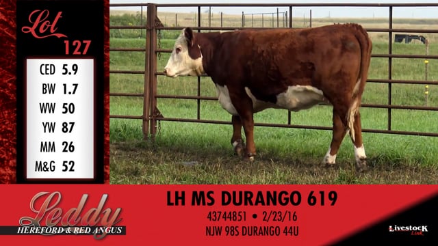 Lot #127 - LH MS DURANGO 619