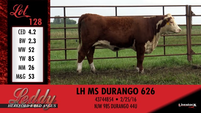 Lot #128 - LH MS DURANGO 626