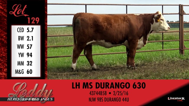 Lot #129 - LH MS DURANGO 630