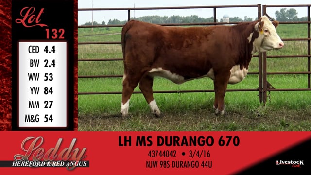 Lot #132 - LH MS DURANGO 670
