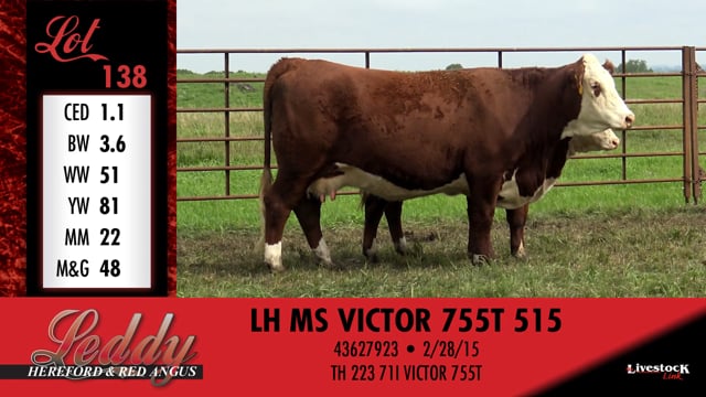 Lot #138 - LH MS VICTOR 755T 515