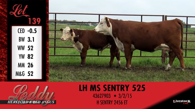 Lot #139 - LH MS SENTRY 525
