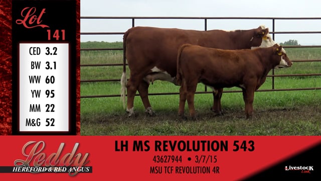 Lot #141B - 141B - RED BALDY