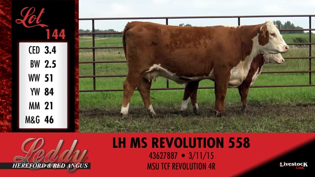 Lot #144 - LH MS REVOLUTION 558