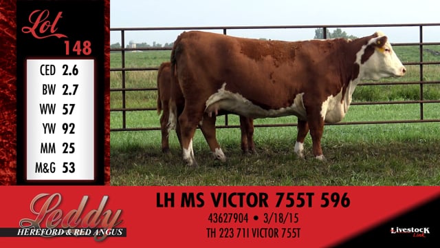 Lot #148 - LH MS VICTOR 755T 596