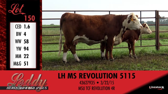 Lot #150 - LH MS REVOLUTION 5115