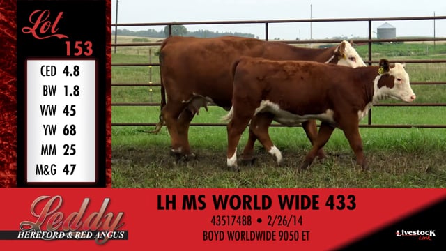 Lot #153 - LH MS WORLD WIDE 433