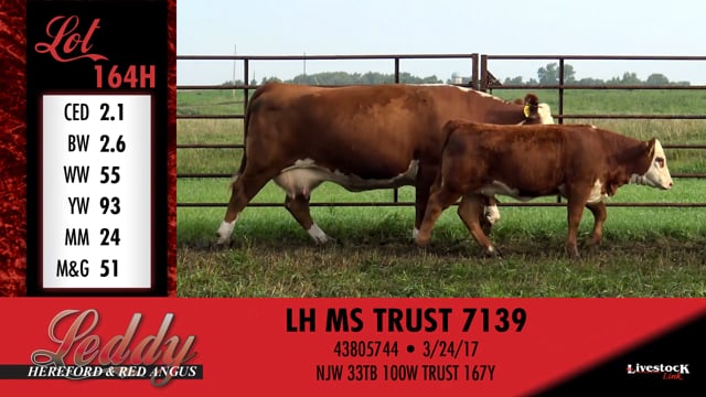 Lot #164 - LH MS RIB EYE 332