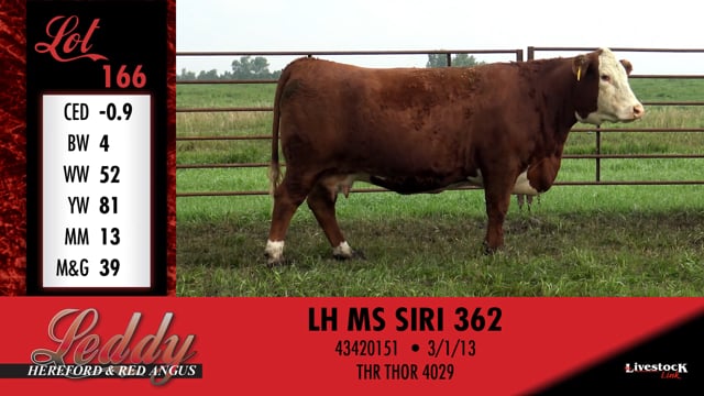 Lot #166 - LH MS SIRI 362