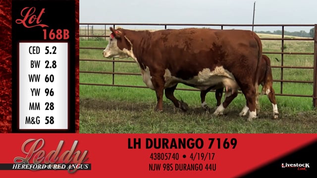 Lot #168 - LH MS REVOLUTION 372