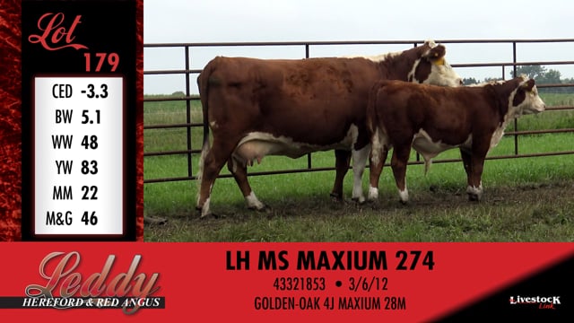 Lot #179 - LH MS MAXIUM 274