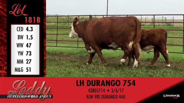 Lot #181 - LH MS LAYLA 2123