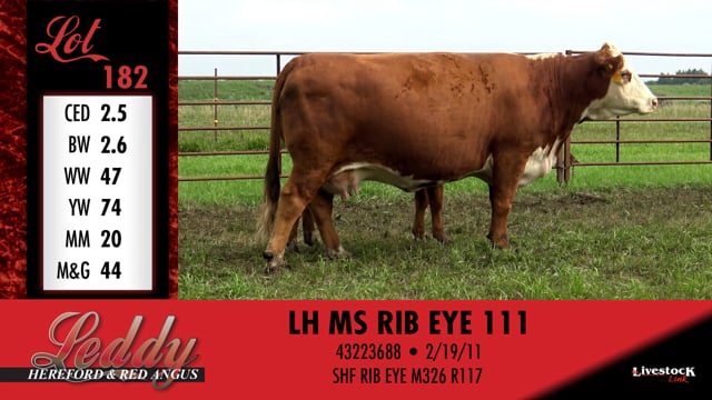Lot #182 - LH MS RIB EYE 111