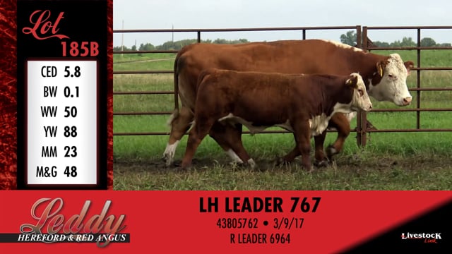Lot #185 - LH MS LEGEND 156