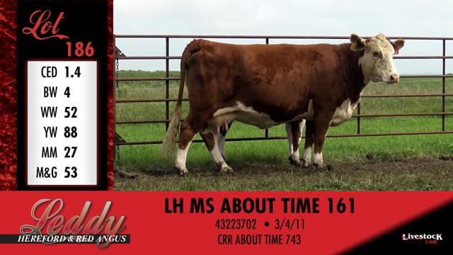 Lot #186 - LH MS ABOUT TIME 161