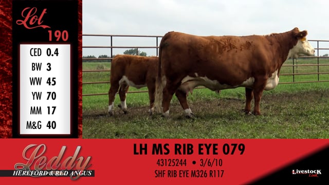 Lot #190 - LH MS RIB EYE 079