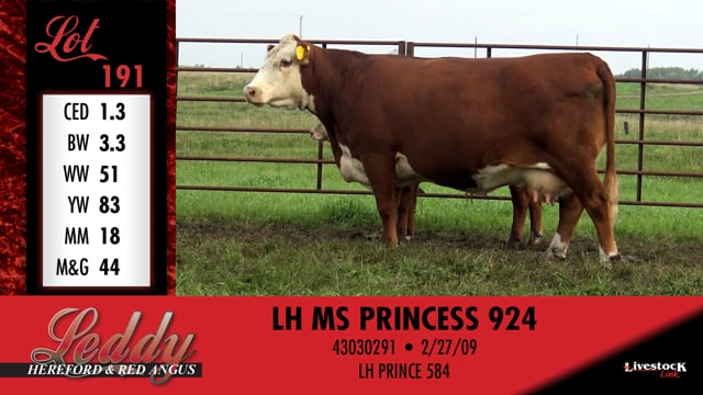 Lot #191 - LH MS PRINCESS 924