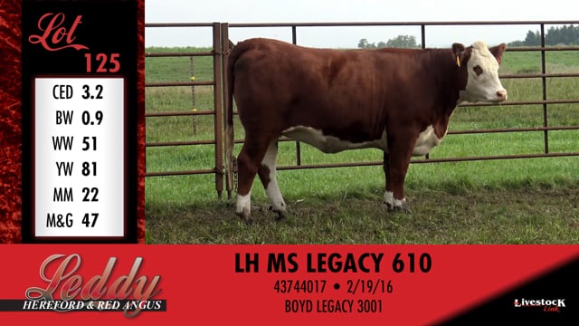 Lot #125 - LH MS LEGACY 610