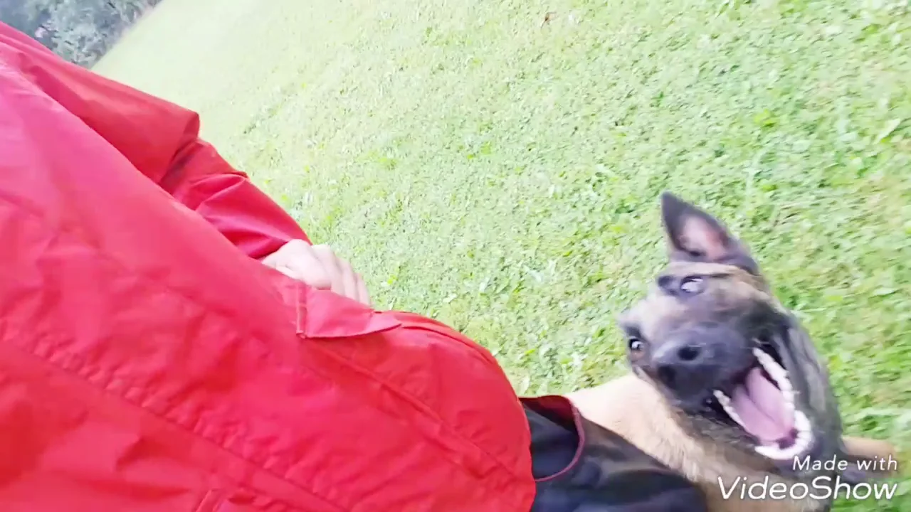 Training Queen Running Wild 28.08.2017 on Vimeo