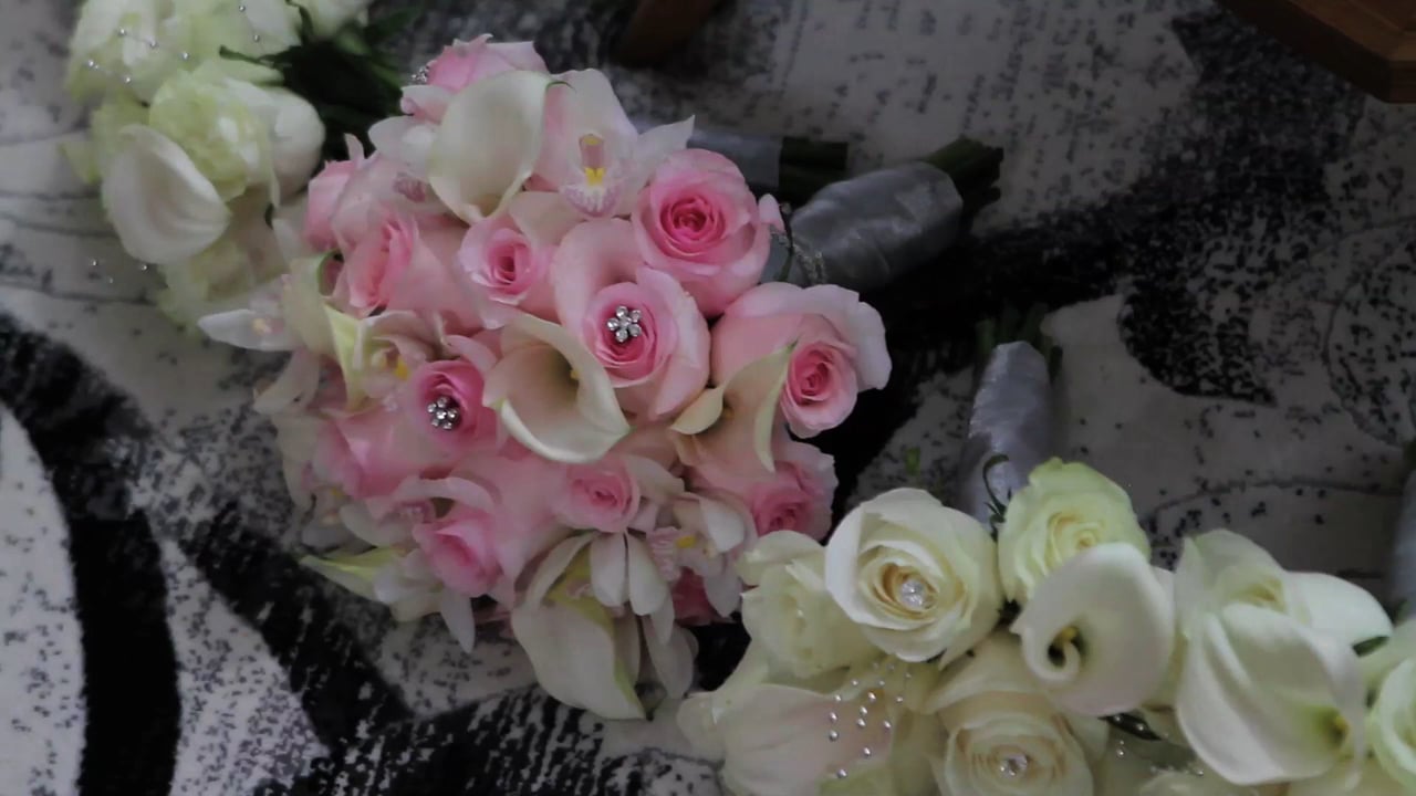 Stephanie & Vince SDE